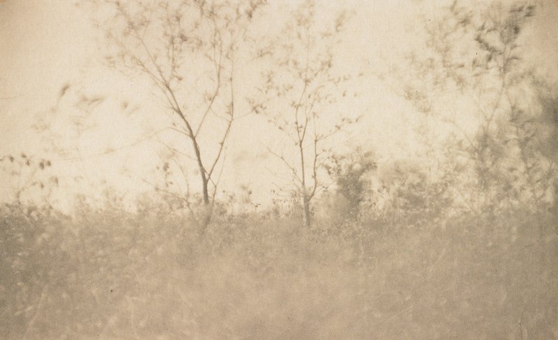 Spring, Joseph T. Keiley, January 1907
