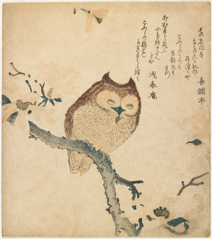 Horned Owl on Flowering Branch, Kubo Shunman, early 19th century