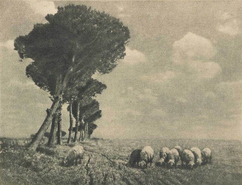 Roman Campagna, Heinrich Keuhn, January 1906