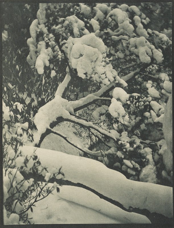 Winter, Arthur Allen Lewis, October 1916