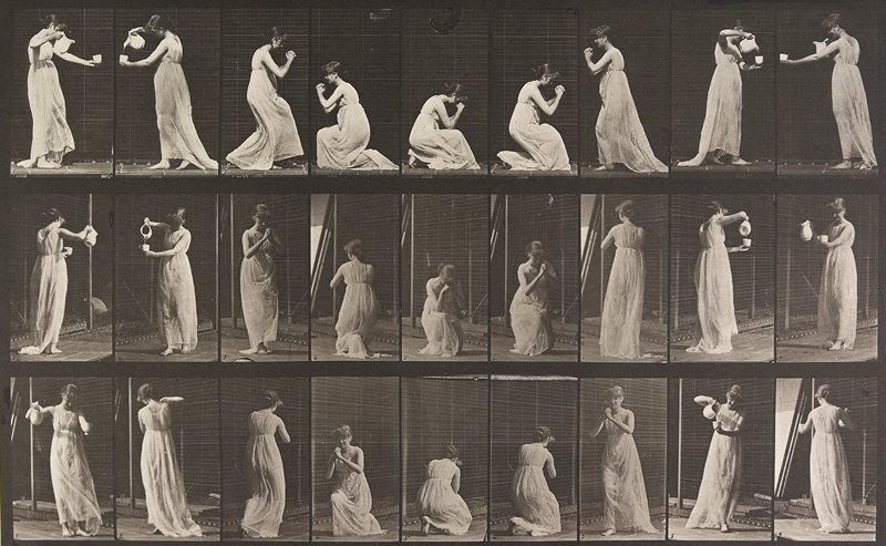 Animal Locomotion Plate 502, Eadweard Muybridge; Publisher