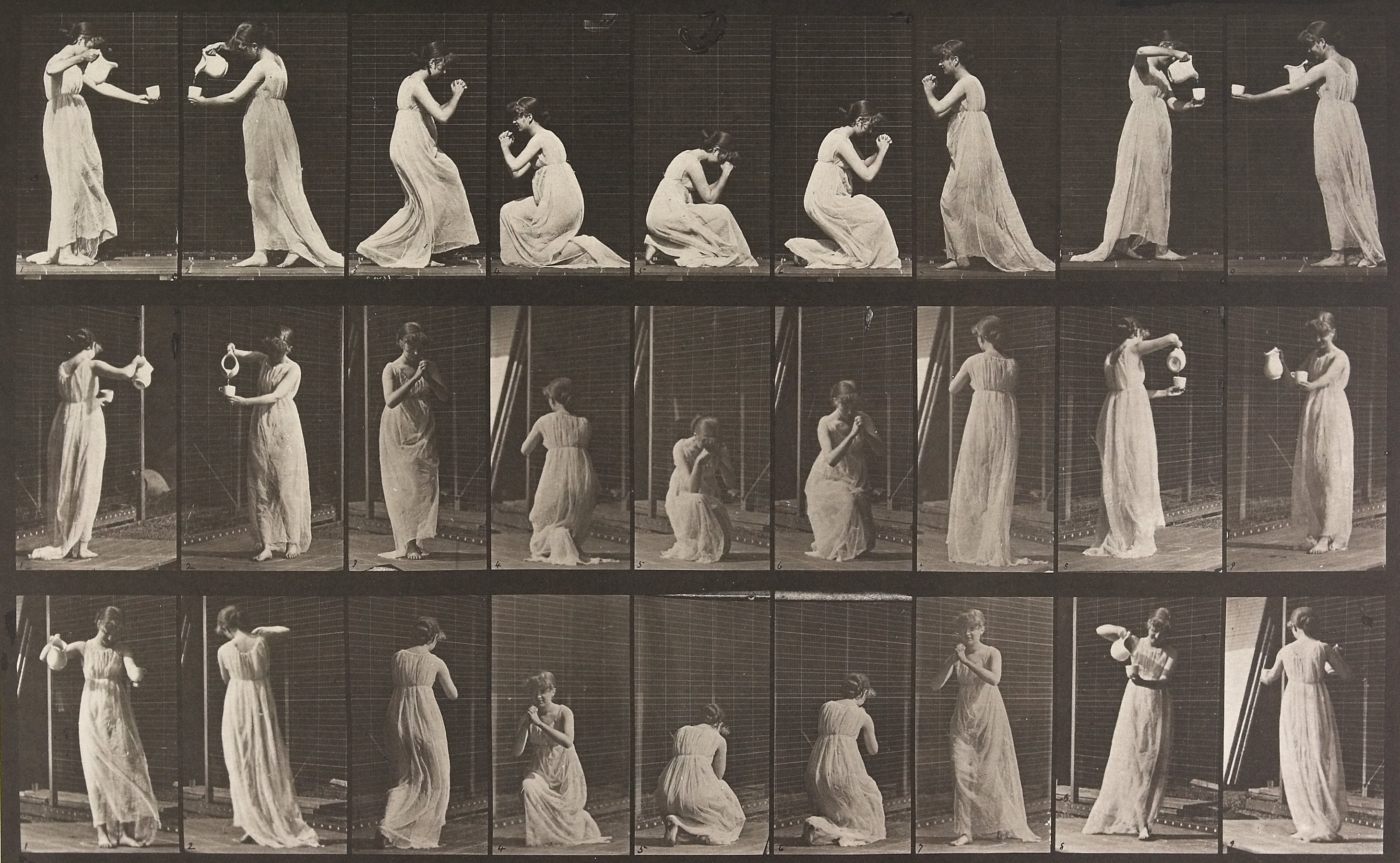 Animal Locomotion Plate 502, Eadweard Muybridge; Publisher