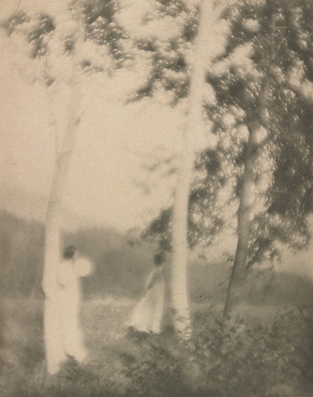 White Trees, George H. Seeley, January 1910