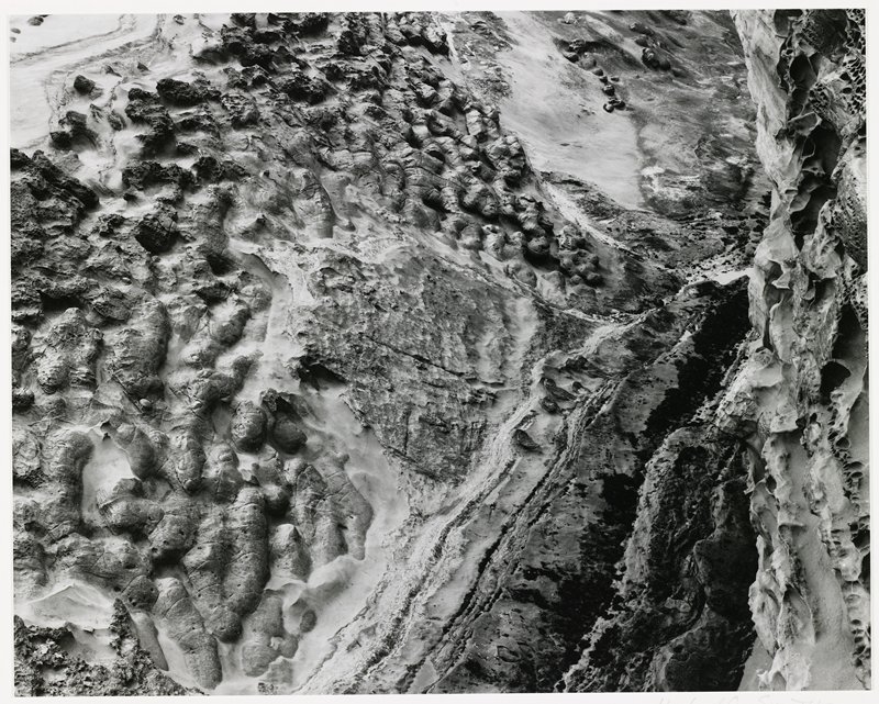Shore Acres, Oregon, Michael A. Smith, 1975