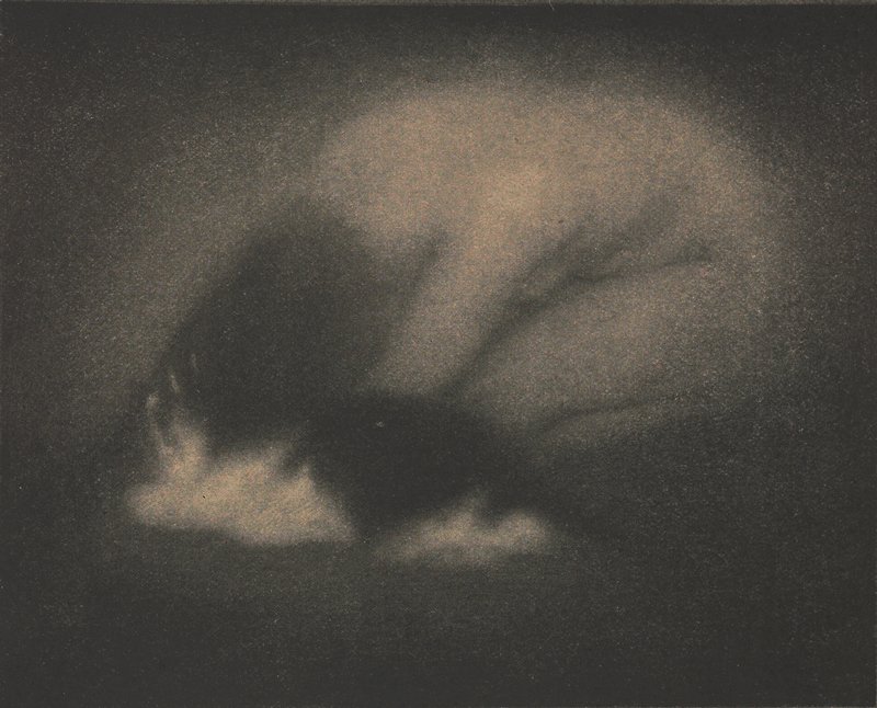 Nude with Cat, Edward Steichen, April 1903
