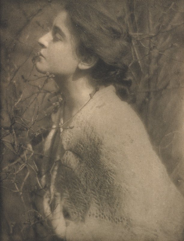 Lilac Buds: Mrs. S., Edward Steichen, April 1906