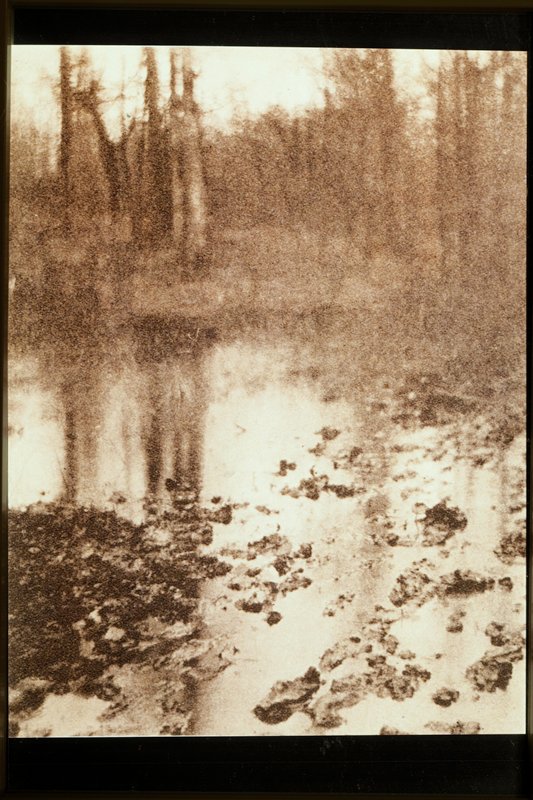 Landscape, Edward Steichen, 1899