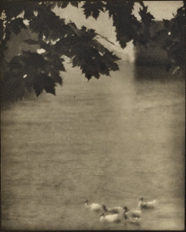 Ducks, Lake Como, Karl F. Struss, April 1912