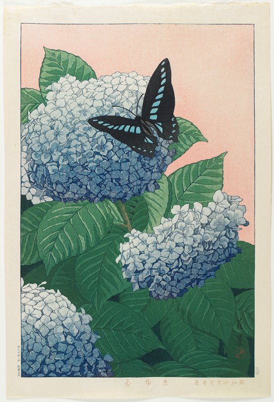 Hydrangeas, Inuzuka Taisui, July 1929