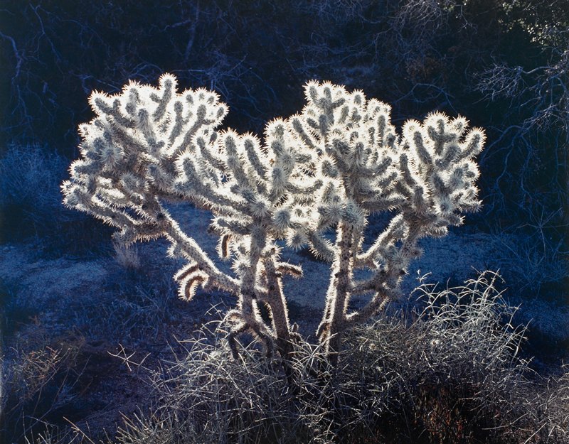 Untitled, George Upham, 1961–77