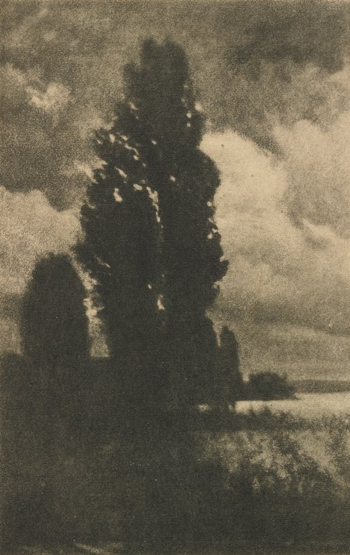 Poplars and Clouds, Hans Watzek, January 1906