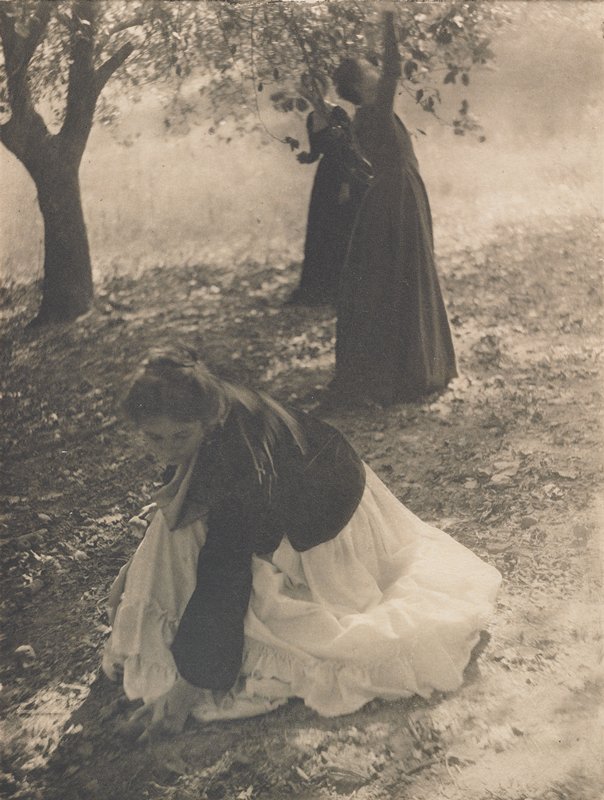 The Orchard, Clarence H. White, January 1905