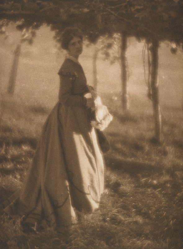 The Arbor, Clarence H. White, July 1908