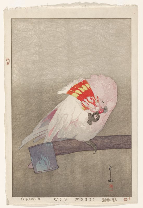 Major Mitchell's Cockatoo, Yoshida Hiroshi, 1926
