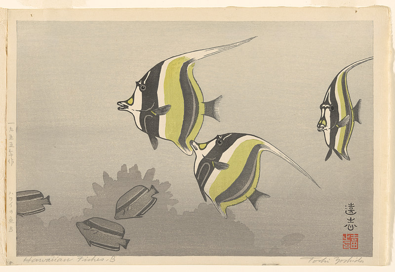 Hawaiian Fishes B, Yoshida Tōshi, 1955