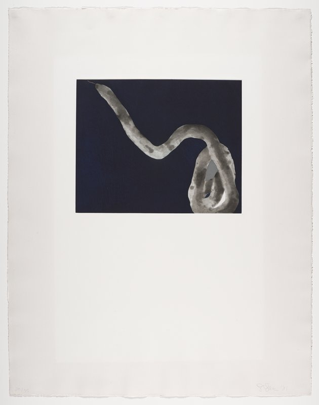 Untitled, from an untitled portfolio, Lois Lane, 1981