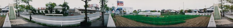 Fujisawa: Field of Onions, Edward A. Foster, 1991