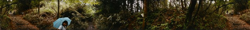 Hakone: The Old Tokaido Road, Edward A. Foster, 1991