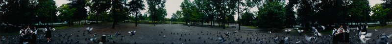 Fuchu (Shizuoka): Girls Feeding Pigeons, Edward A. Foster, 1991