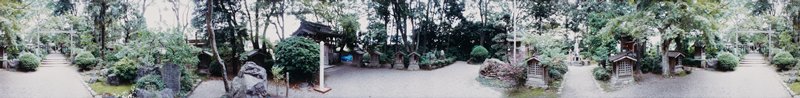 Ishiyakushi: Temple Grounds, Edward A. Foster, 1991