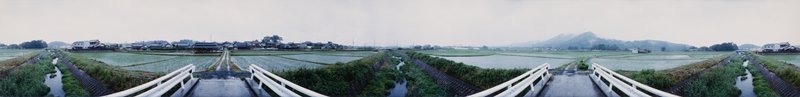 Minakuchi: Rice Fields near Mt. Hiramatsu, Edward A. Foster, 1991