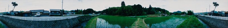 Ishibe: Rice Fields, Edward A. Foster, 1991