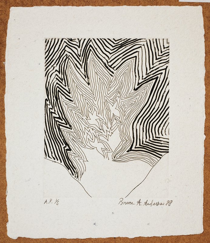 Untitled, Bruce Anderson, 1988