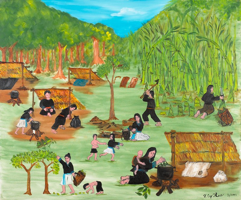 #29, Cy Thao, 1993–2001