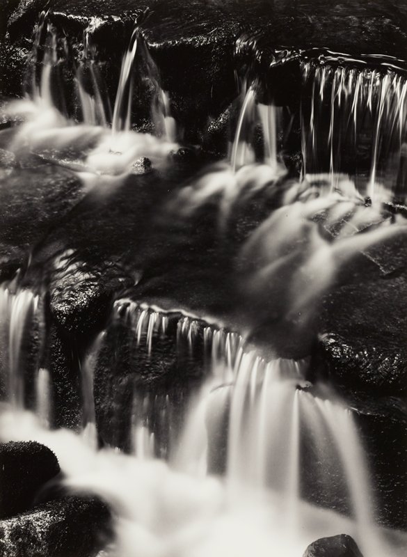 Fern Spring, Dusk, Ansel Adams, c. 1961