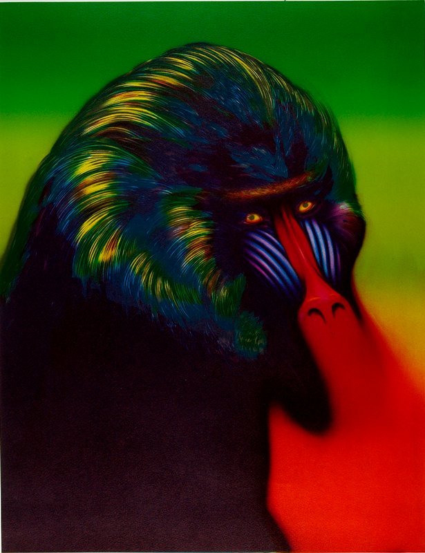 Mandril, Norman Catherine, 1980