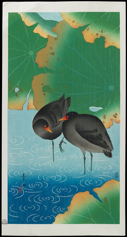Moor Hen, Komori Soseki, c. 1928–1930