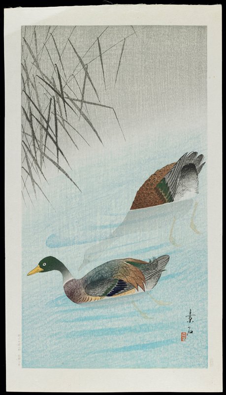 Ducks in Water, Komori Soseki, c. 1928–1930