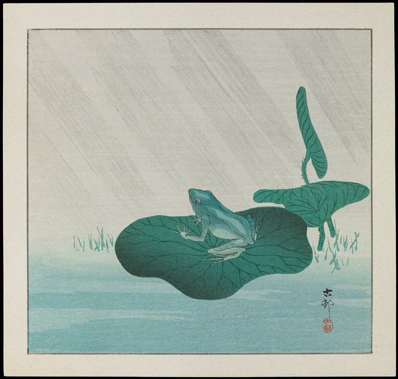 Frog in Rain, Ohara Shōson, c. 1928–1930