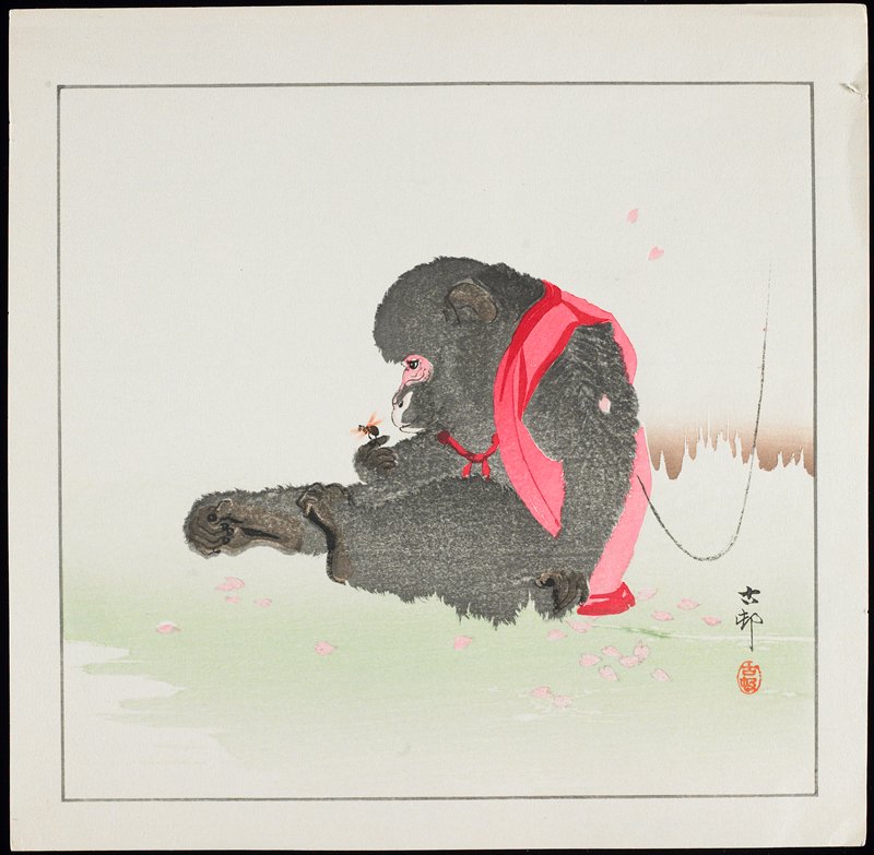 Monkey Catching a Bee, Ohara Shōson, c. 1928–1930