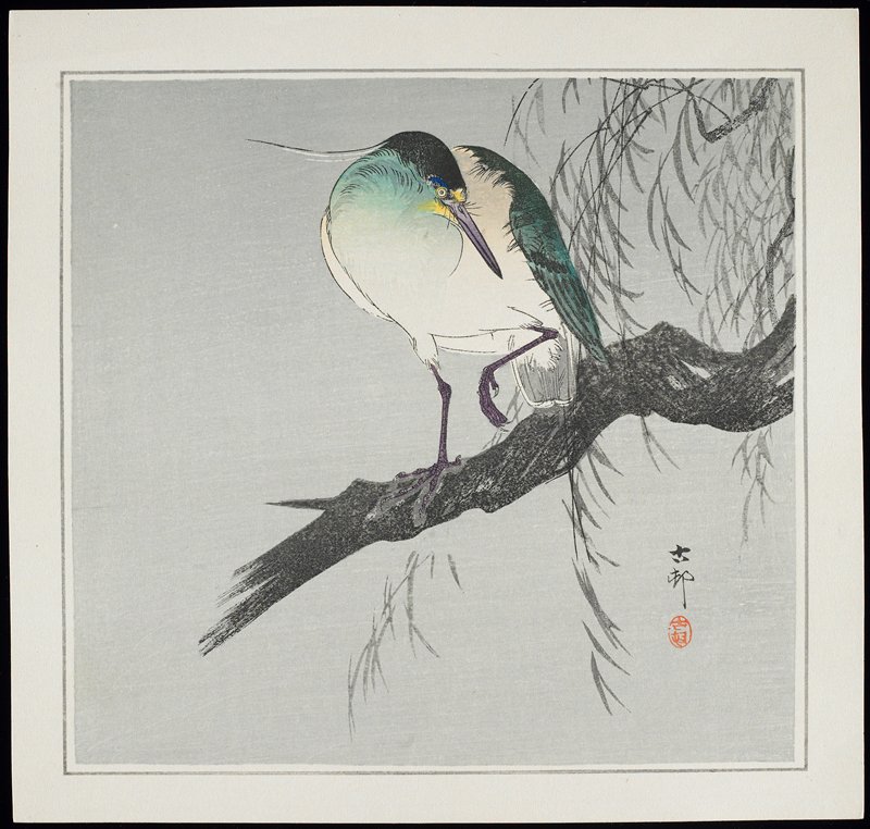 Heron on Branch, Ohara Shōson, c. 1928–1930