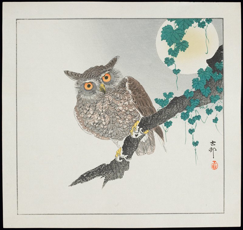 Owl, Ohara Shōson, c. 1928–1930