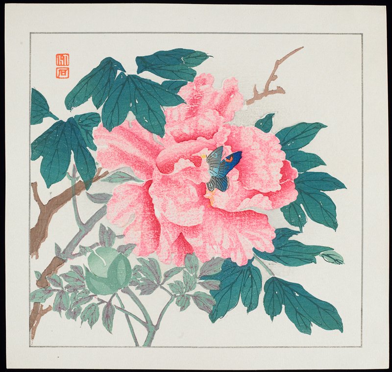 Peony, Yamamoto Chikuseki, c. 1928–1930