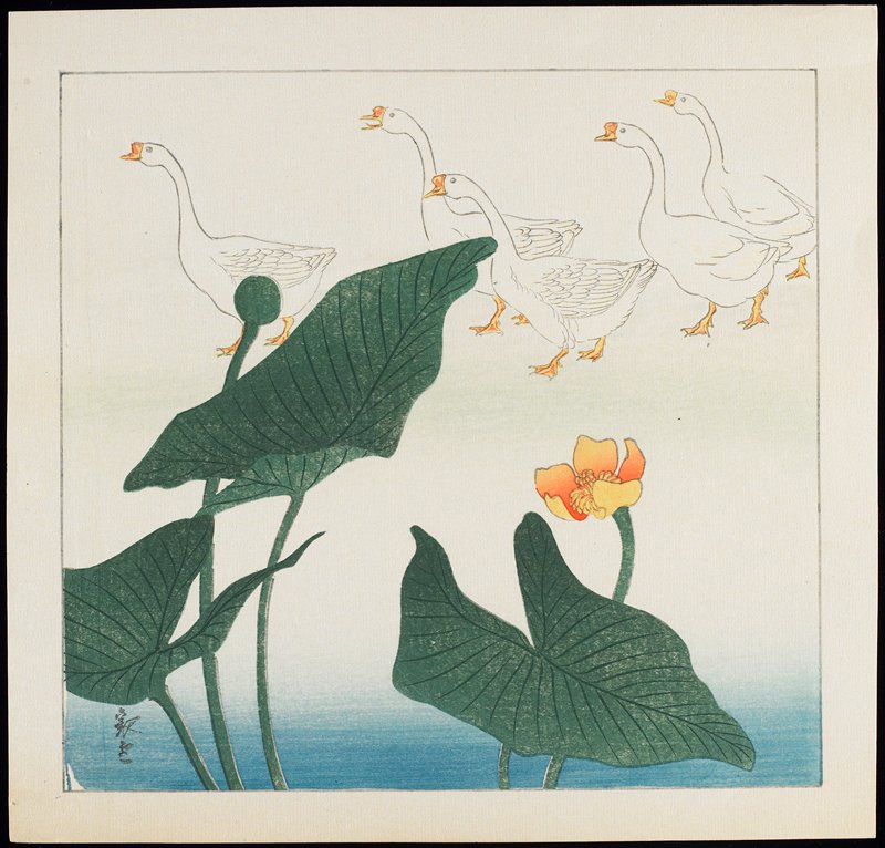Geese and lotus, c. 1928–1930