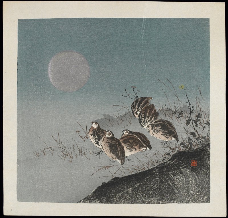 Partridges in Field, c. 1928–1930