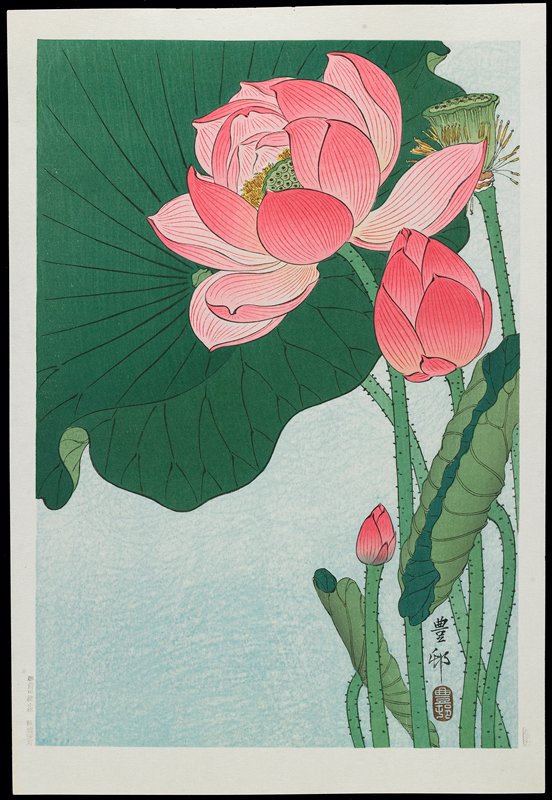 Lotus, Ohara Shōson, c. 1928–1930