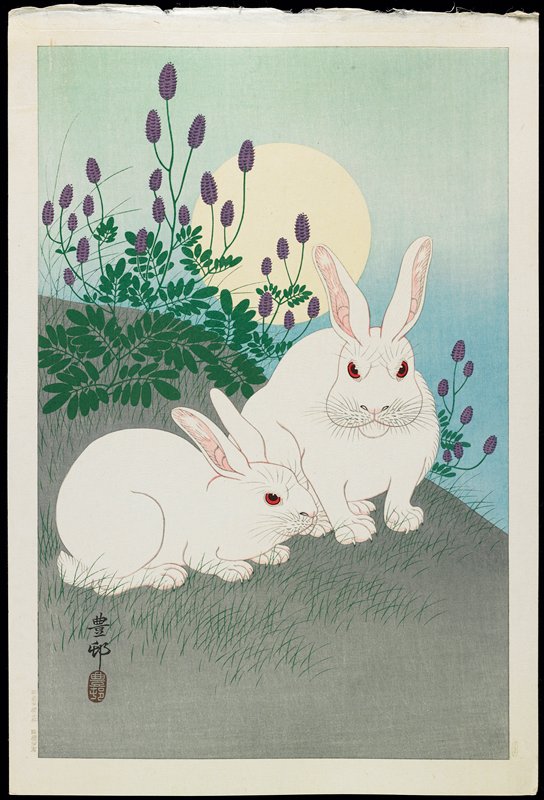 水墨伽羅画　色紙　コンプセット　白米党　吠舞羅　セプター4 Jungle K7S 水墨伽羅画 色紙 コンプセット 白米党 吠舞羅 セプター4 Jungle