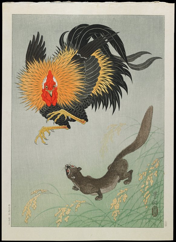 Rooster and Weasel, Ohara Shōson, c. 1928–1930