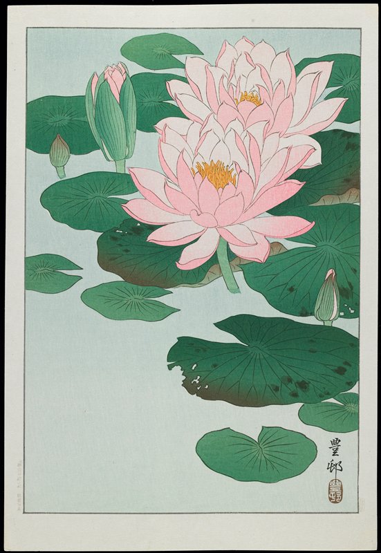 Water Lily, Ohara Shōson, c. 1928–1930