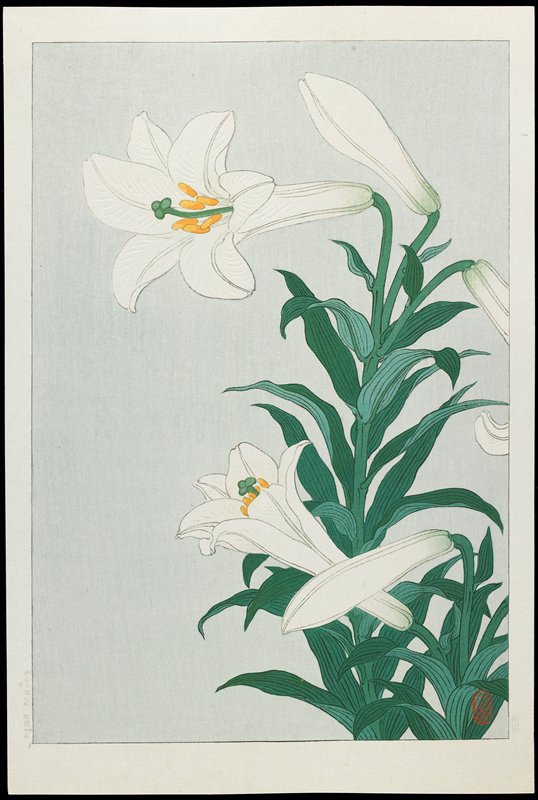White Lily, Ohara Shōson, c. 1928–1930