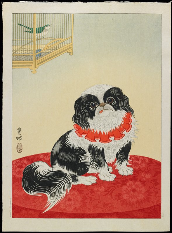 Pug Dog, Ohara Shōson, c. 1928–1930
