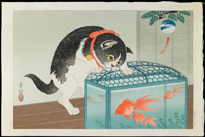 Cat and Goldfish, Ohara Shōson, c. 1928–1930