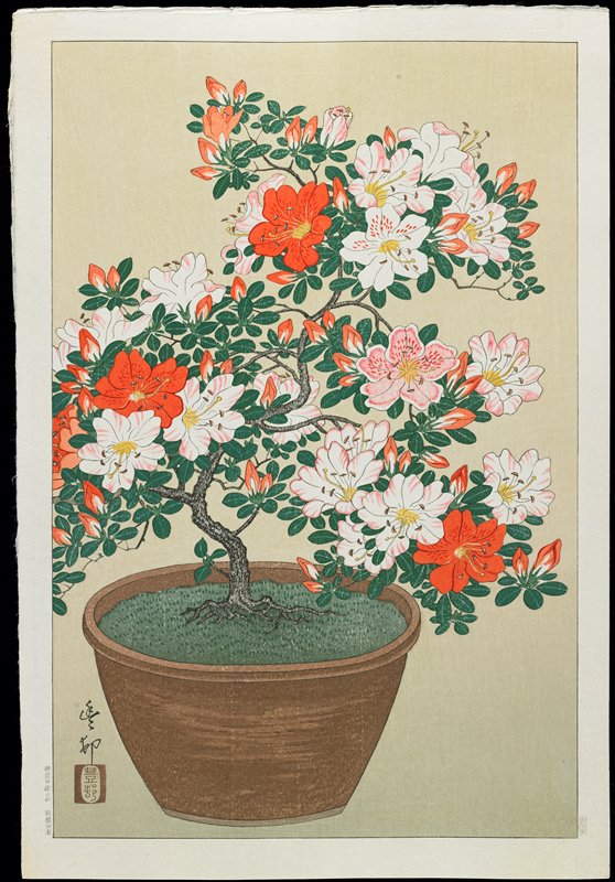 Azalea in Pot, Ohara Shōson, c. 1928–1930
