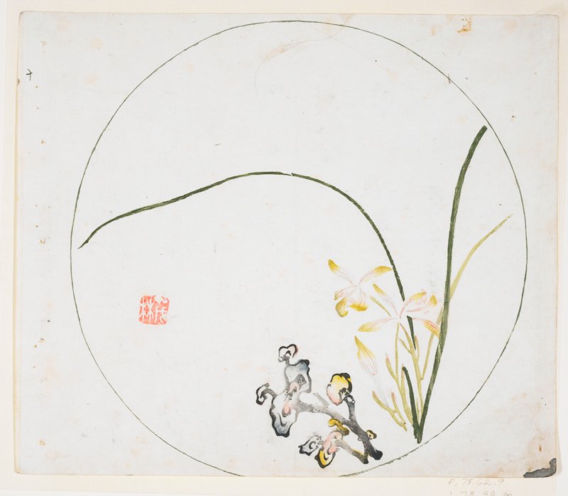 Orchid and Fungus, 17th-18th century
