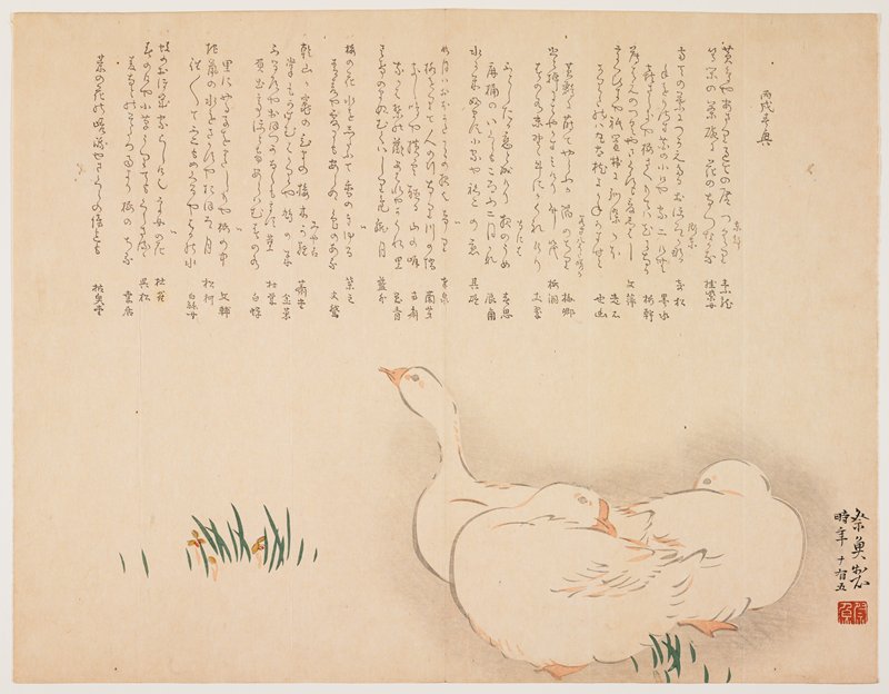 (Three white ducks), Kitagawa Saigyo, 1826