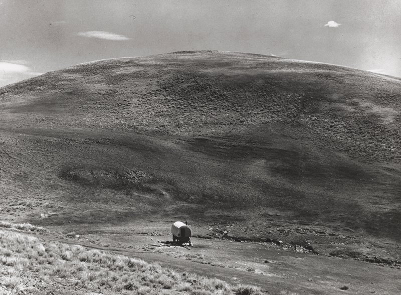 Shepherder's camp, Montana, Arthur Rothstein, 1939 (printed 1981)